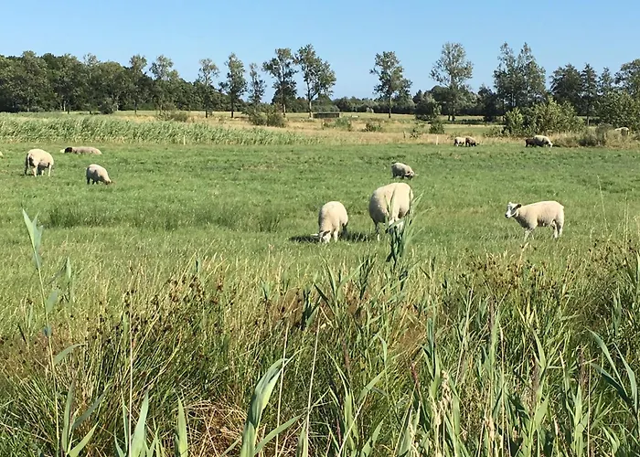 Casa de Férias Nordseebrise